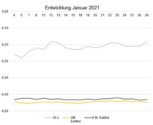 Entwicklung Januar 2021_512.jpg